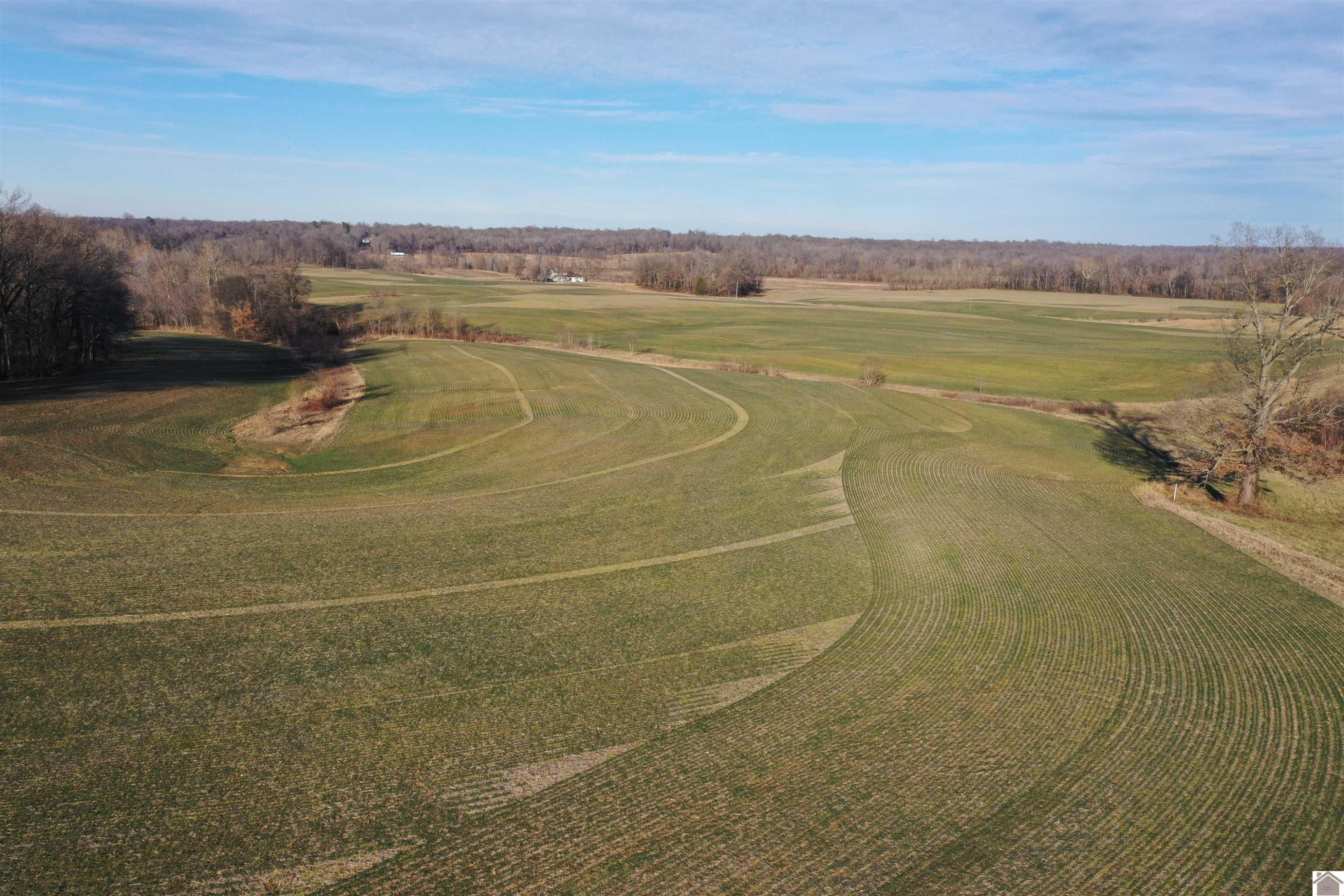 Kingston Road, Unit AND KY94 Water Valley, KY 42085 - Photo 3 of 11 Photo 3