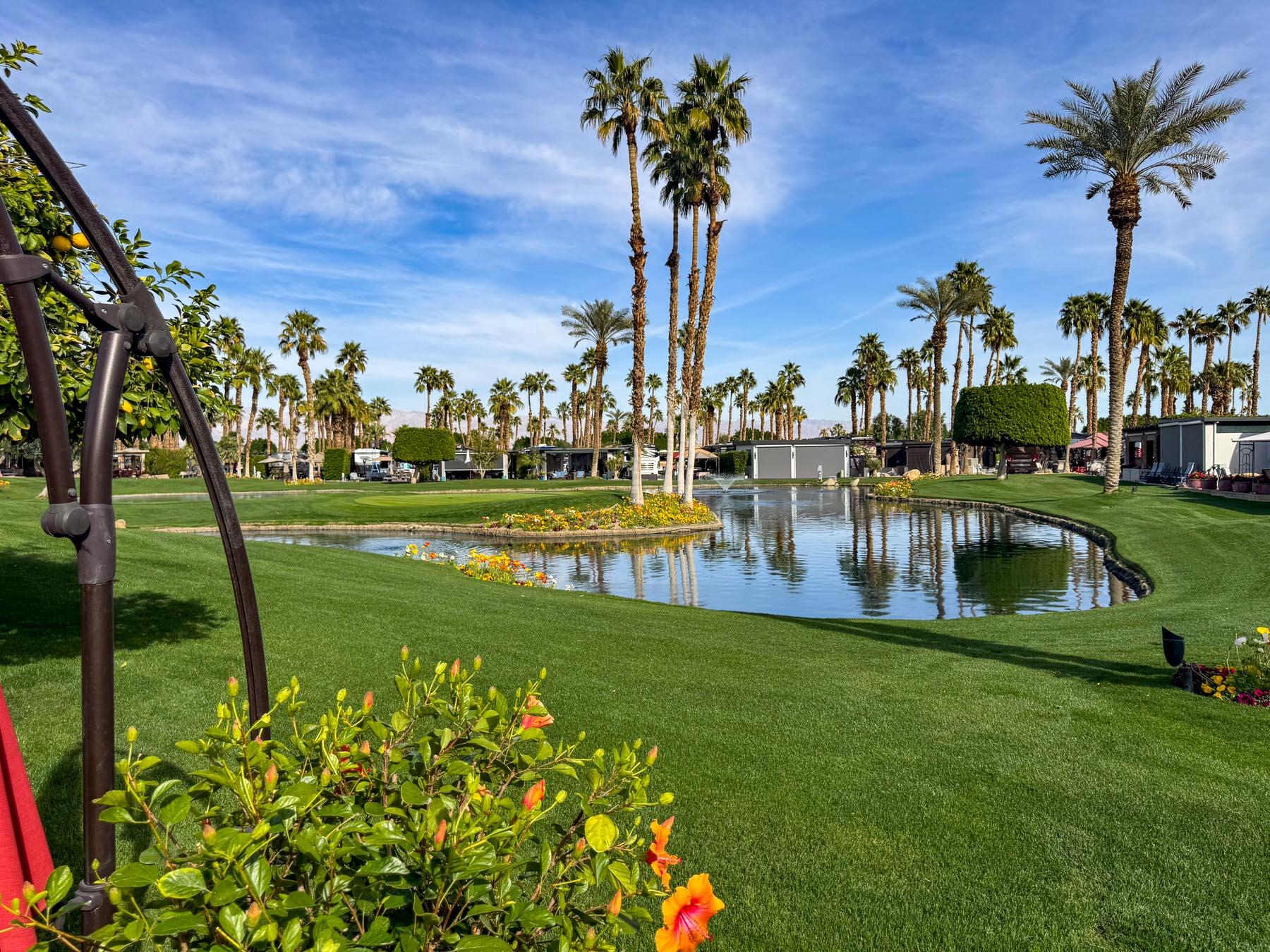 80394 Ave 48, Unit 421 Indio, CA 92201 - Photo 22 of 33 a view of a park with big trees