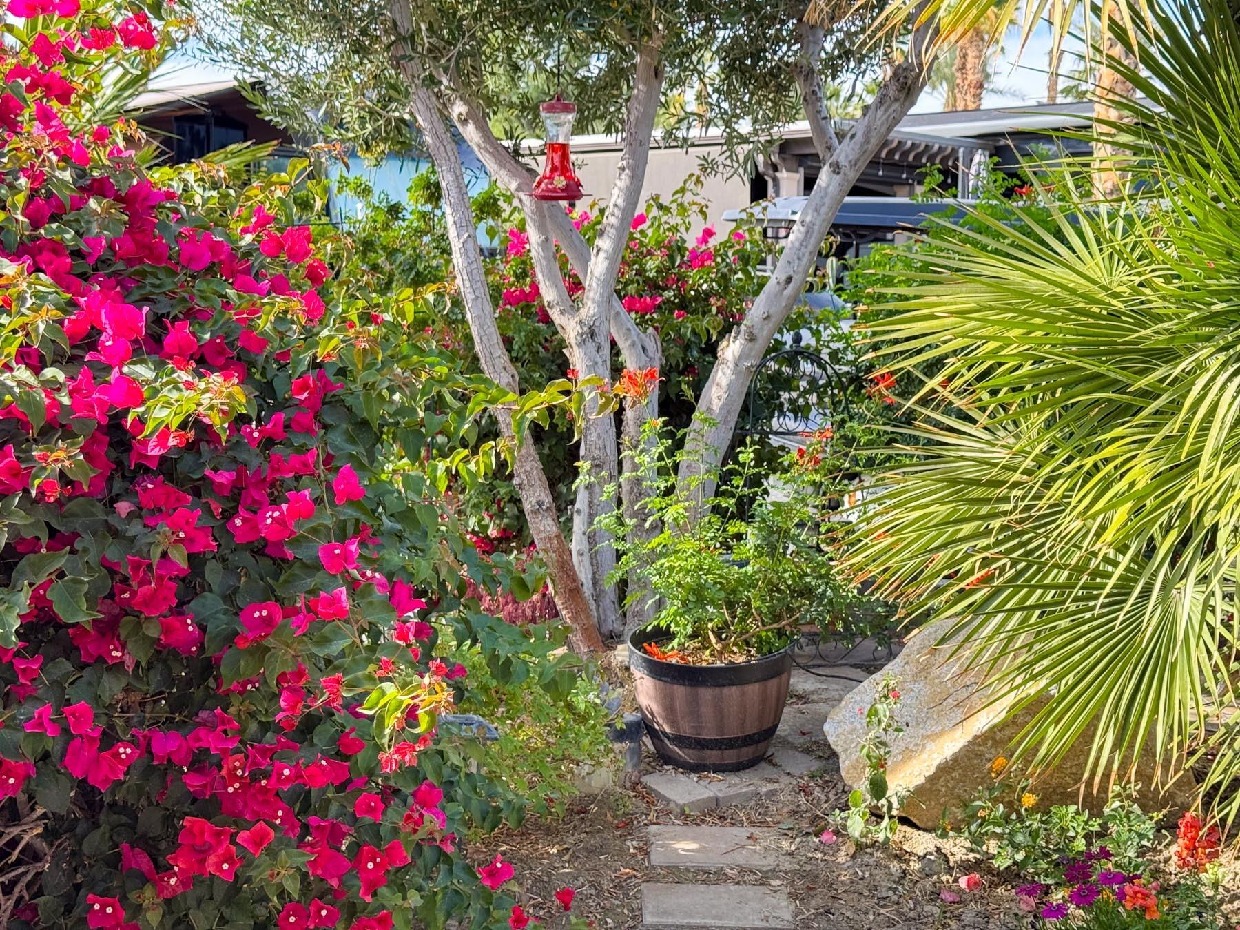 80394 Ave 48, Unit 421 Indio, CA 92201 - Photo 29 of 33