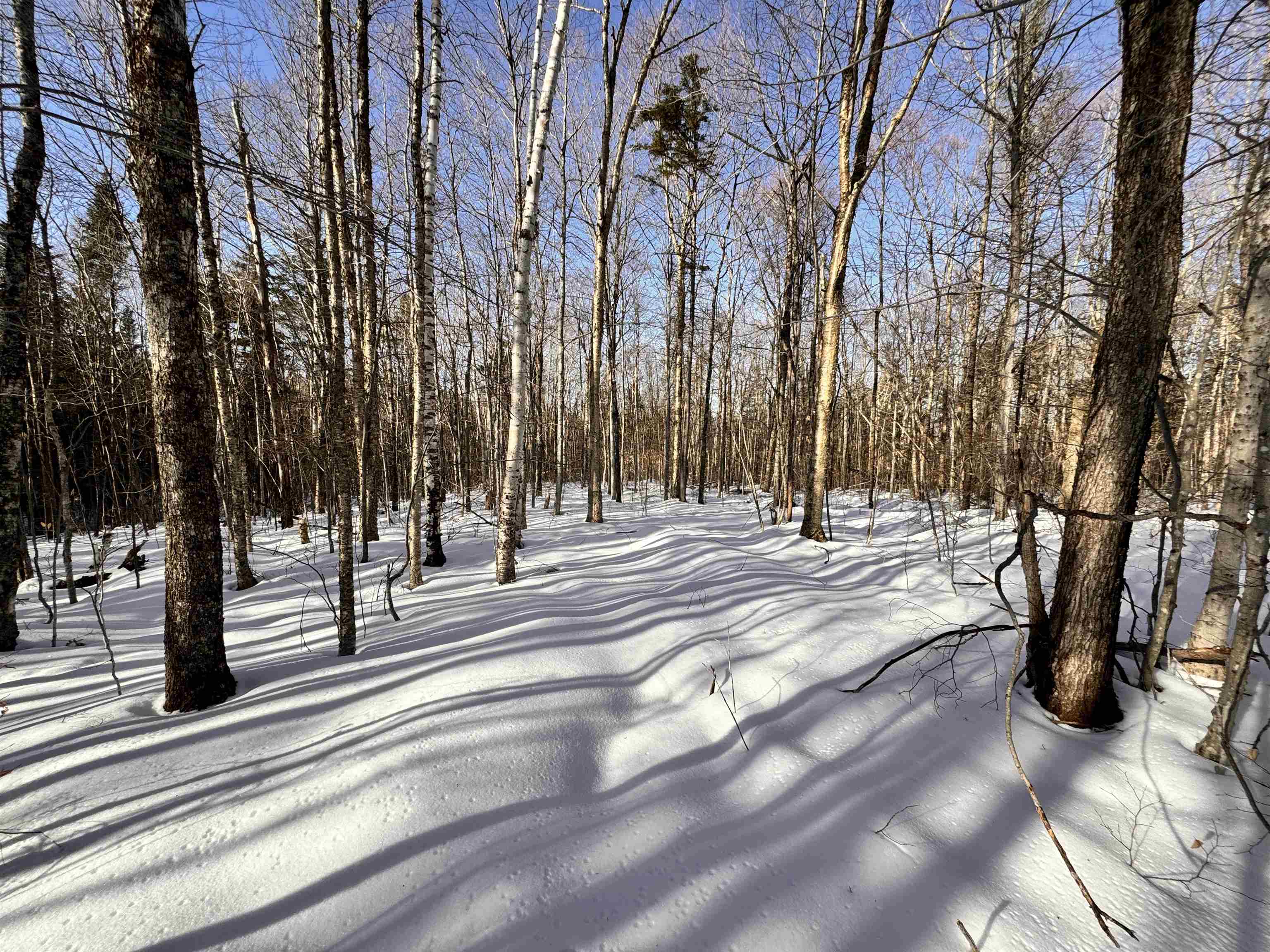 0 South Road Bethlehem, NH 03574 - Photo 11 of 12