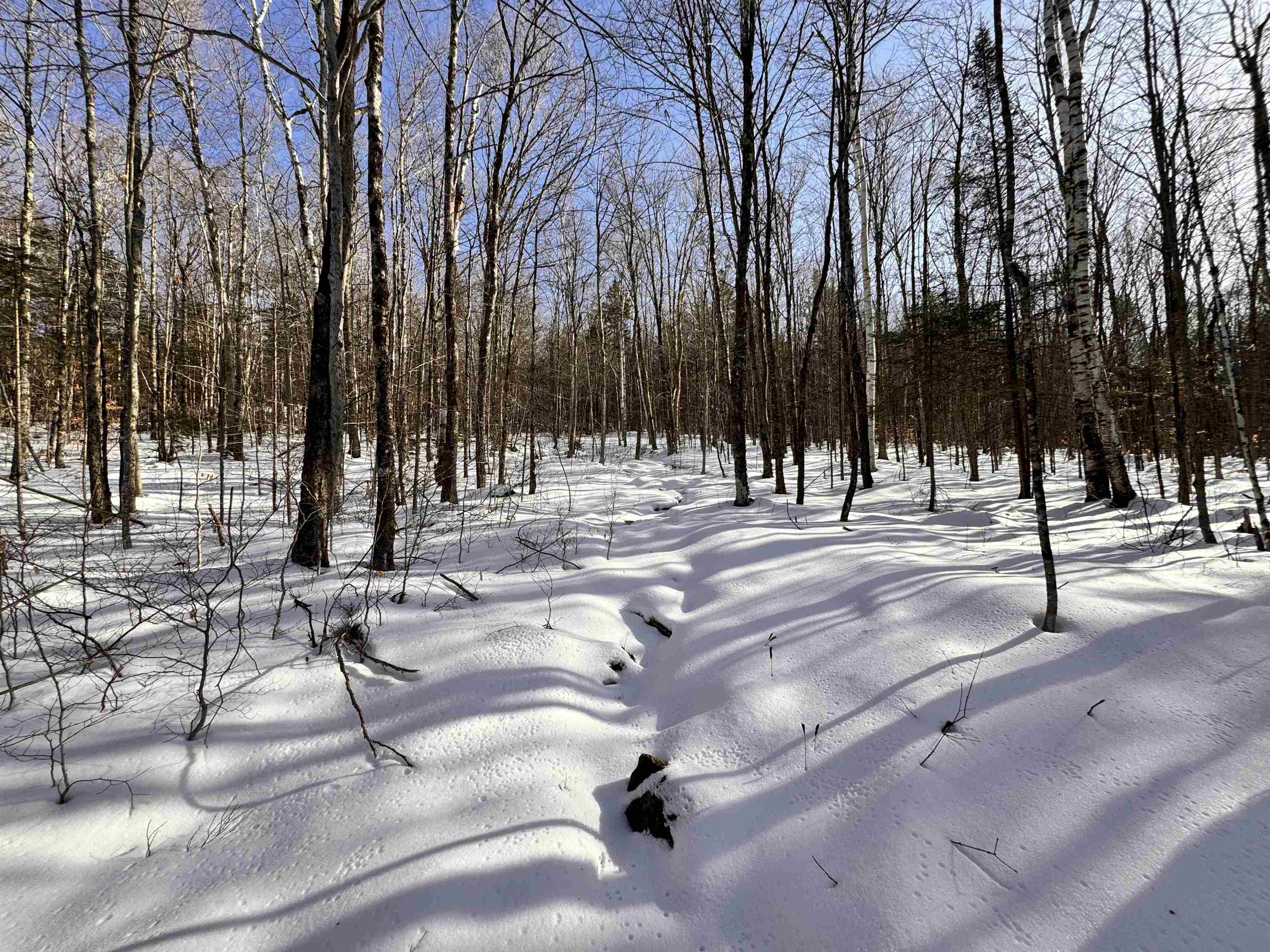 0 South Road Bethlehem, NH 03574 - Photo 12 of 12