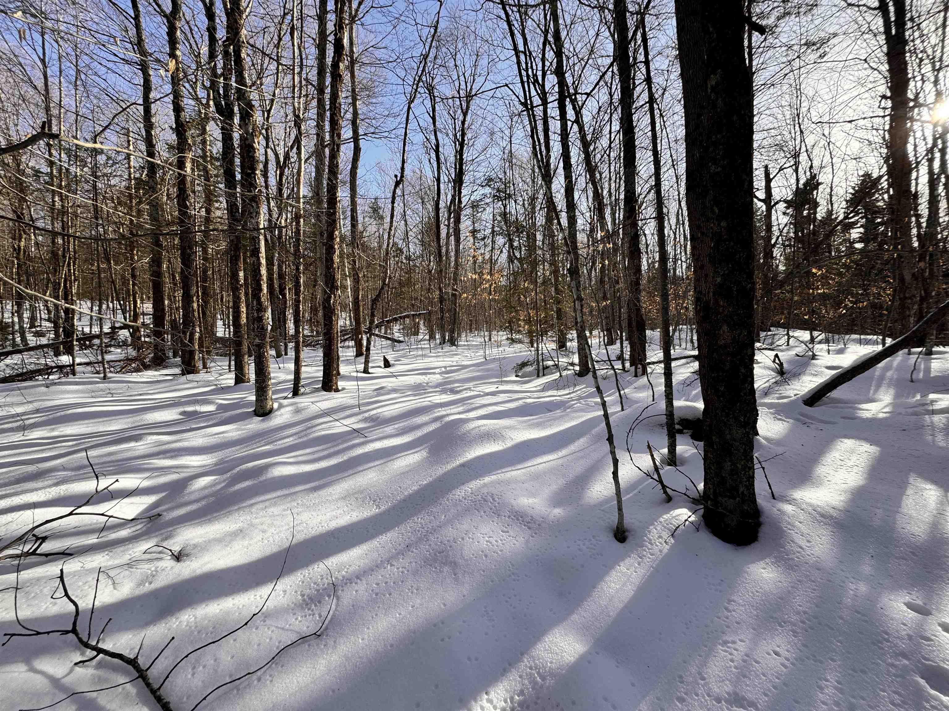 0 South Road Bethlehem, NH 03574 - Photo 3 of 12