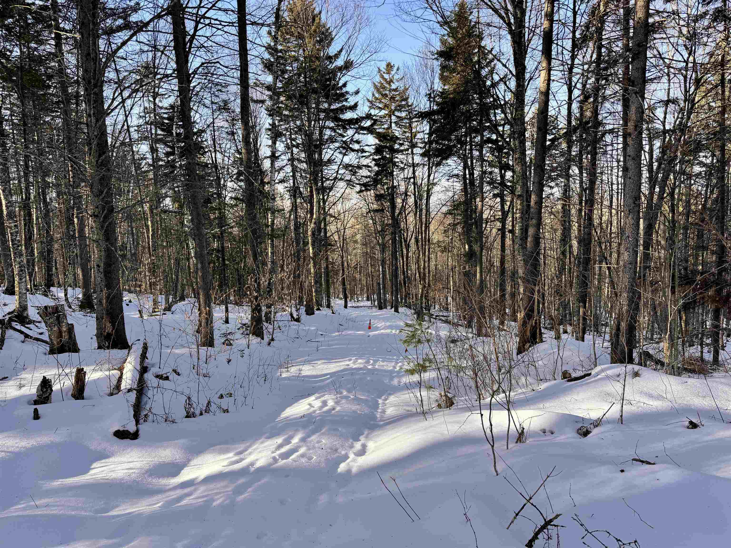 0 South Road Bethlehem, NH 03574 - Photo 4 of 12