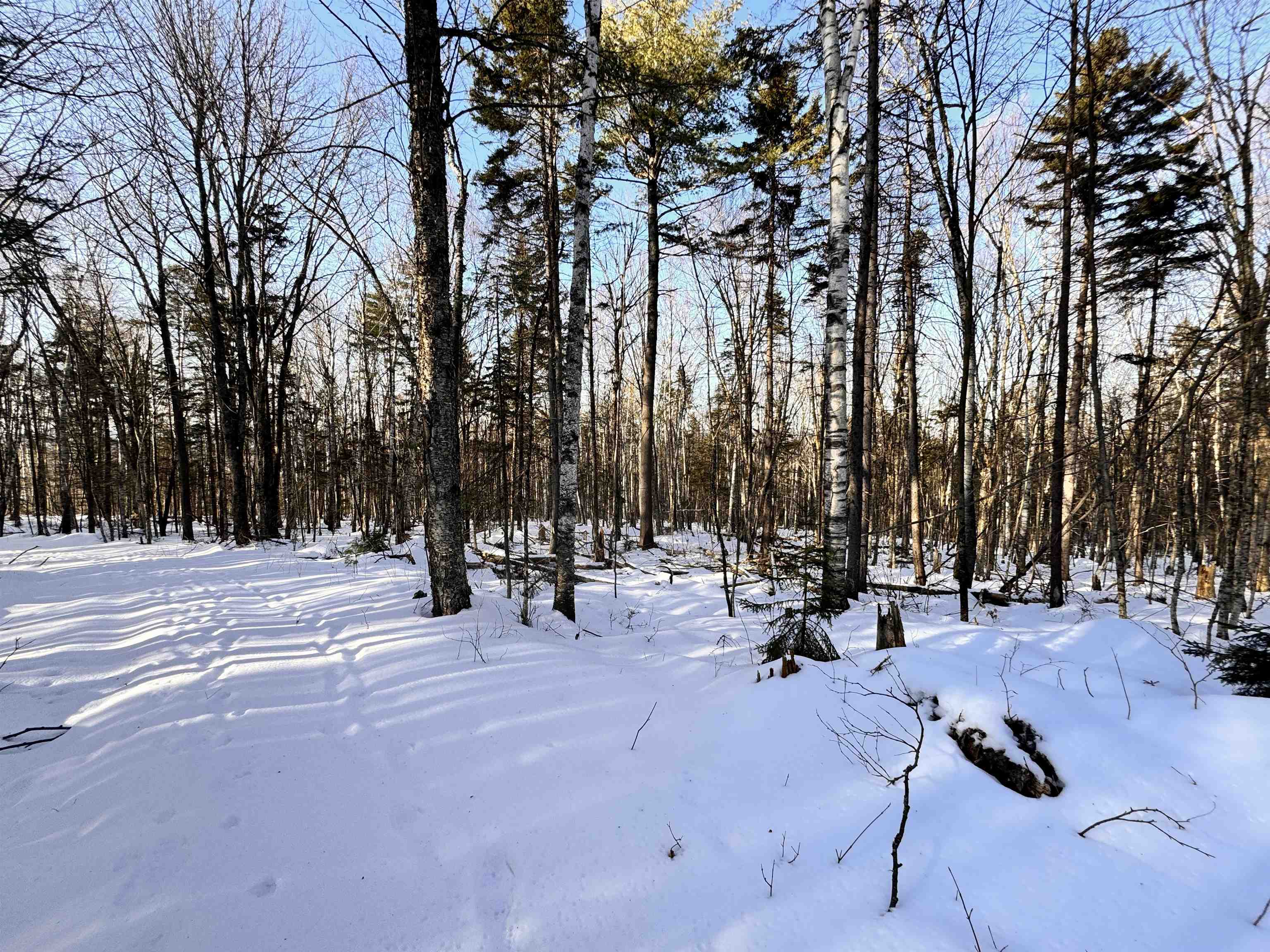 0 South Road Bethlehem, NH 03574 - Photo 6 of 12