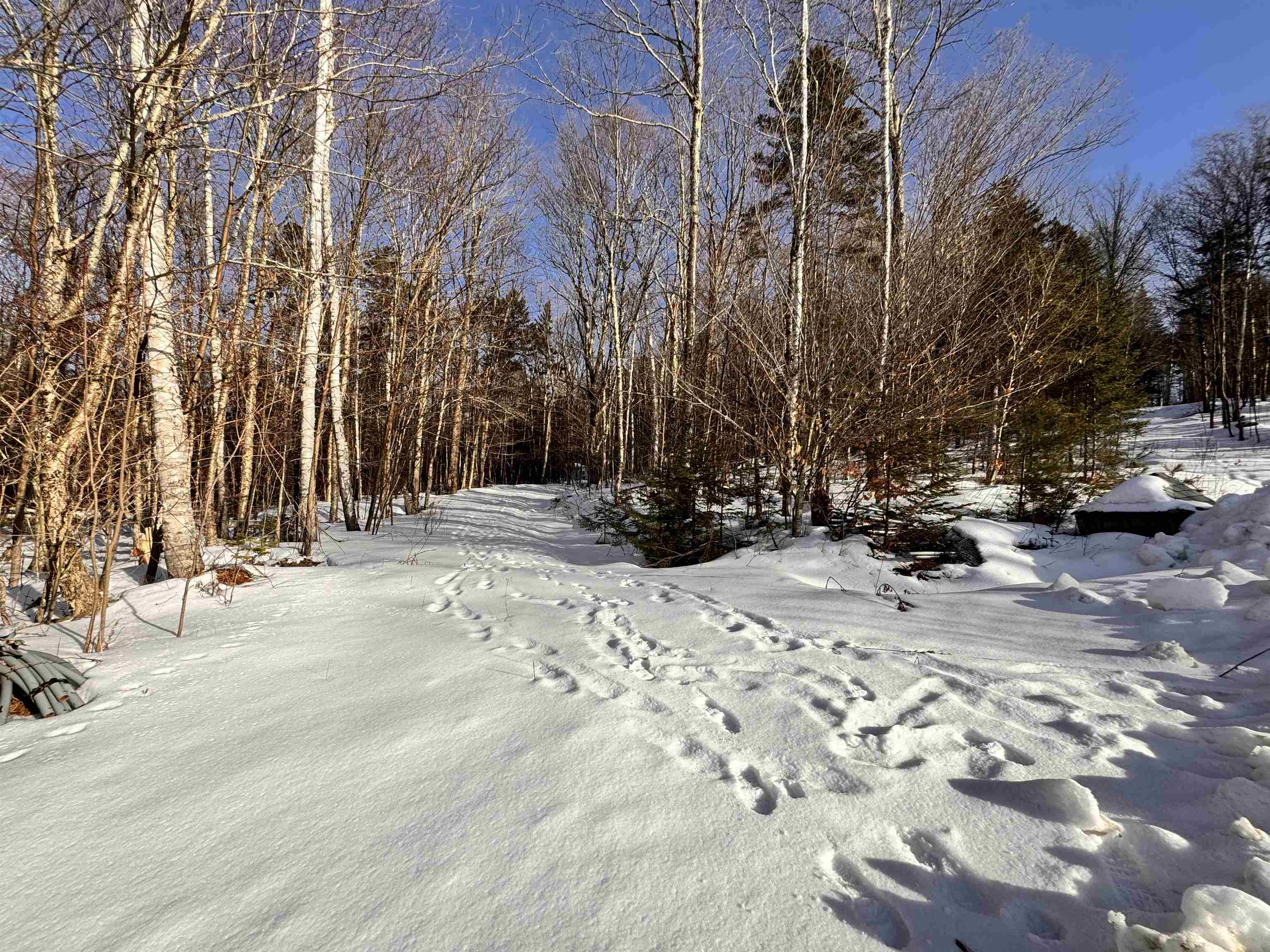 0 South Road Bethlehem, NH 03574 - Photo 7 of 12