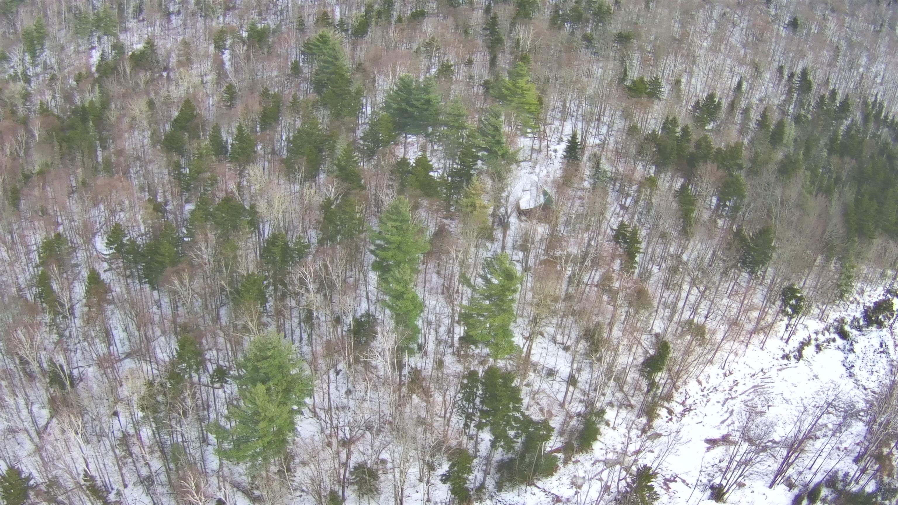 0 South Road Bethlehem, NH 03574 - Photo 8 of 12