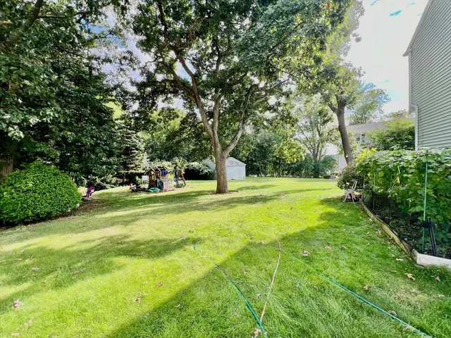 a garden view with a fountain