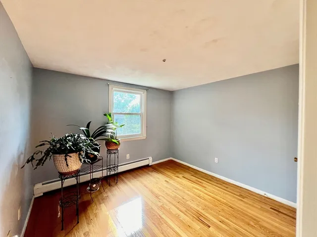 a room with wooden floor and a potted plant
