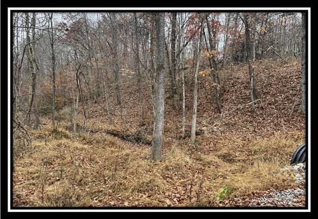 35816 Buck Run Road, Unit TRACT 11 Langsville, OH 45741 - Photo 12 of 31 image012