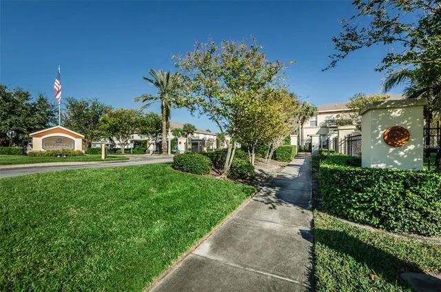 a view of a park with large trees