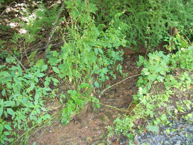 838 Pheasant Run Road Effort, PA 18330 - Photo 21 of 23 a backyard of a house with lots of green space and a fountain