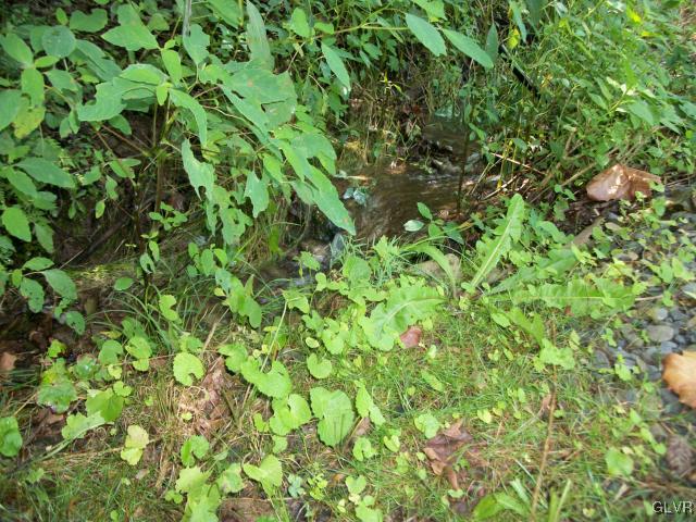 838 Pheasant Run Road Effort, PA 18330 - Photo 22 of 23 a view of a plant