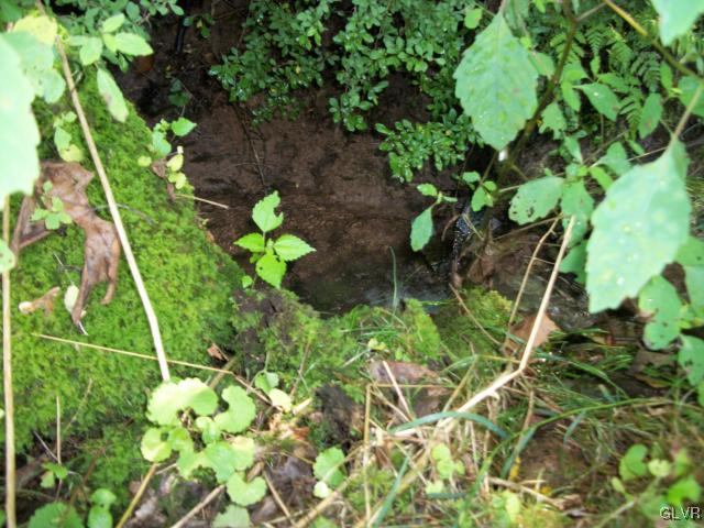 838 Pheasant Run Road Effort, PA 18330 - Photo 23 of 23 a plant that is in a garden