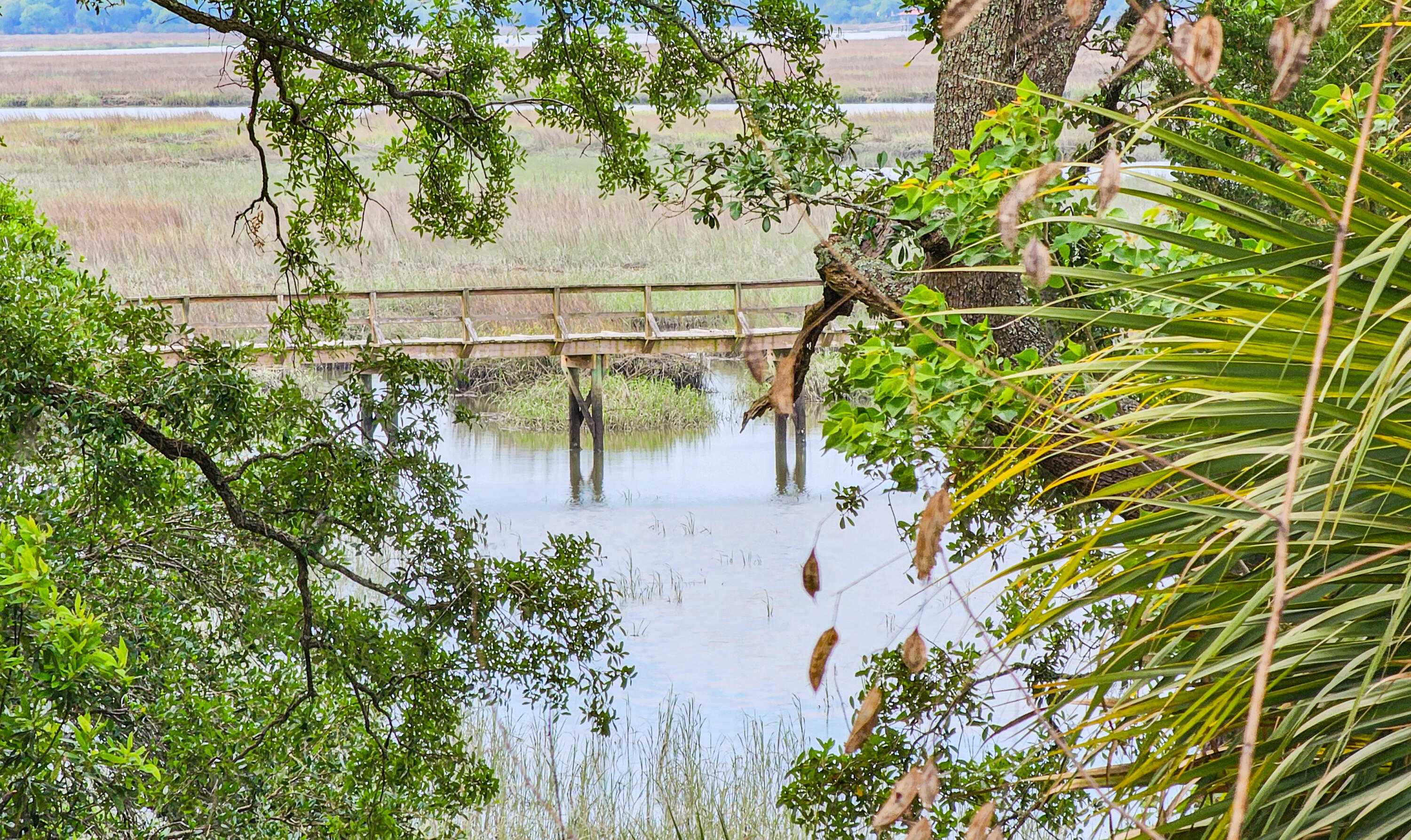 17 Blake Lane Seabrook, SC 29940 - Photo 80 of 82 20260506_104857