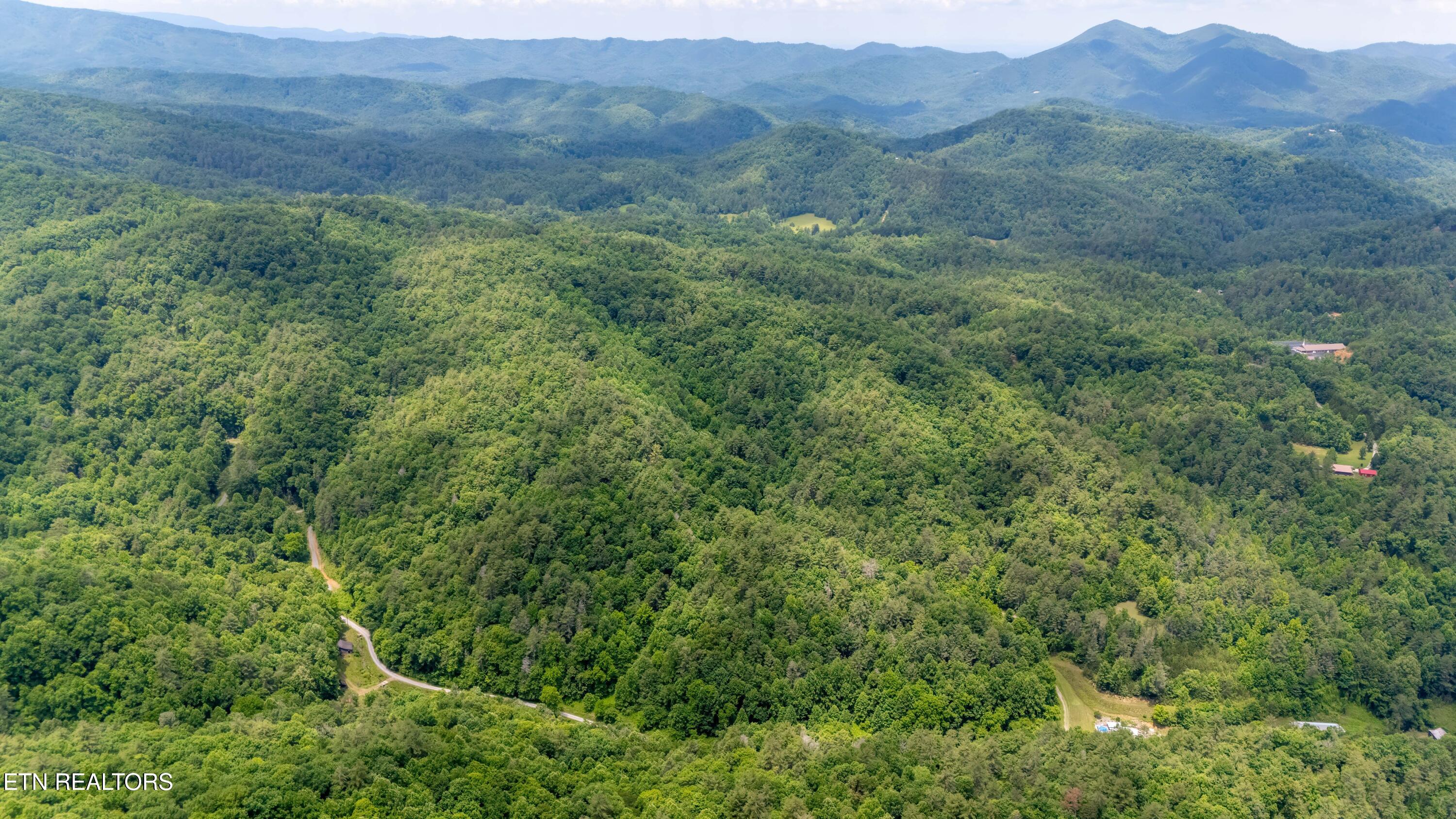 Johns Creek Road Del Rio, TN 37727 - Photo 15 of 17 DJI_20260602131603_0357_D-HDR-Edit