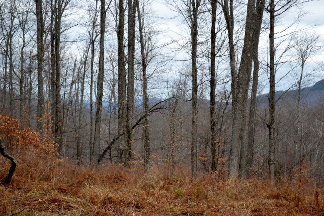 Lot 4 Hawk Ridge Saranac Lake, NY 12983 - Photo 9 of 14 Gallery Image 9