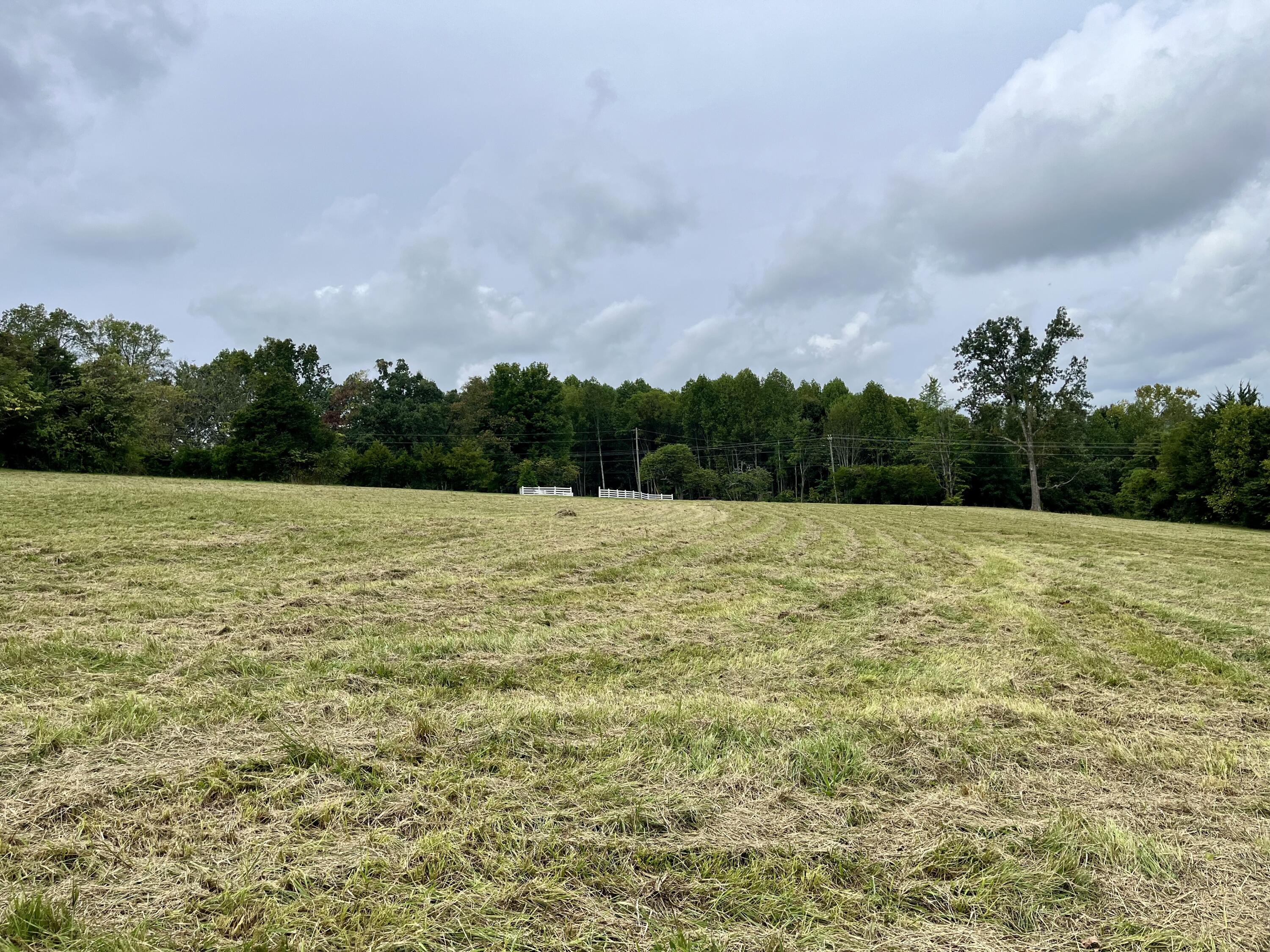 Lot 5 Smith Ridge Road Eubank, KY 42567 - Photo 12 of 24 IMG_4426 2