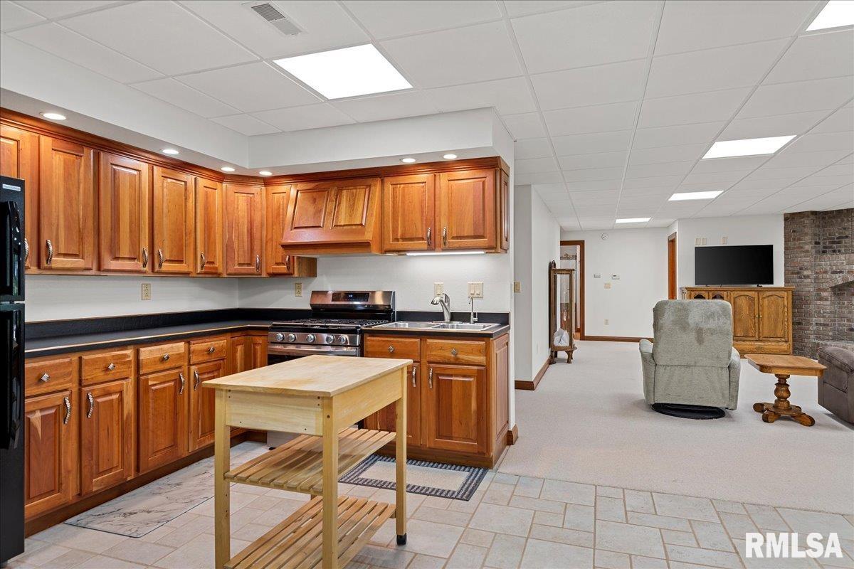 3508 South Roosevelt Road Taylorville, IL 62568 - Photo 40 of 60