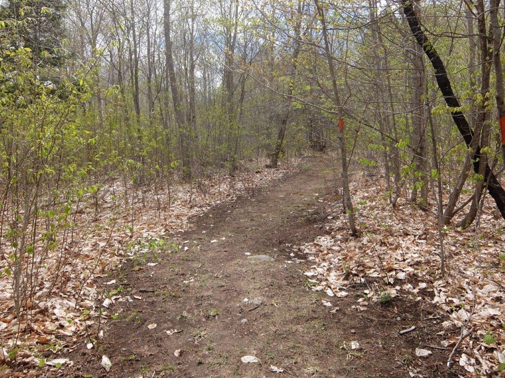Lot 0-736 Prescott Road Manchester, ME 04351 - Photo 12 of 38 DSCF2750