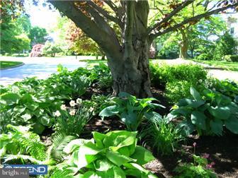 429 Red Leaf Road Wynnewood, PA 19096 - Photo 5 of 11 Gallery Image 5