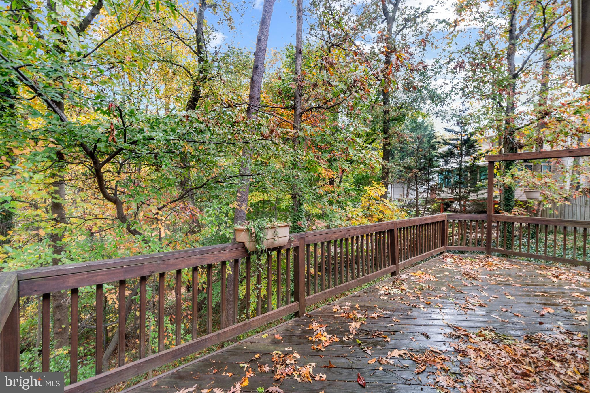 616 Shipley Road Linthicum Heights, MD 21090 - Photo 14 of 40 Beautiful treed lot for low maintenance.