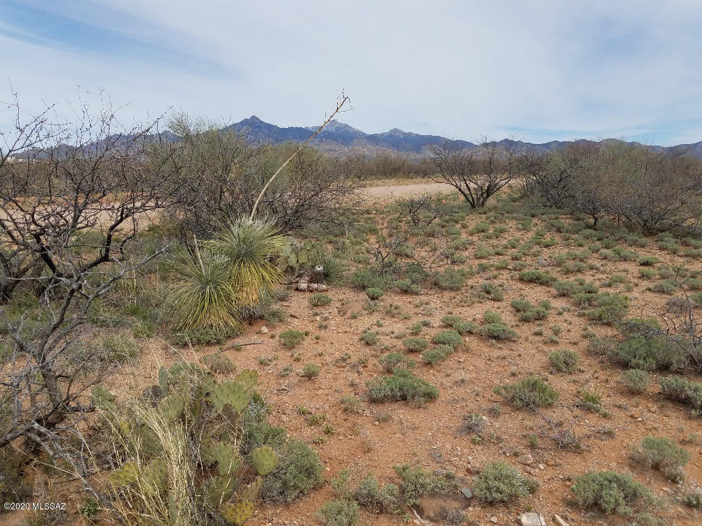 Tbd Camino Nacozari, Unit 38 Rio Rico, AZ 85648 - Photo 5 of 6
