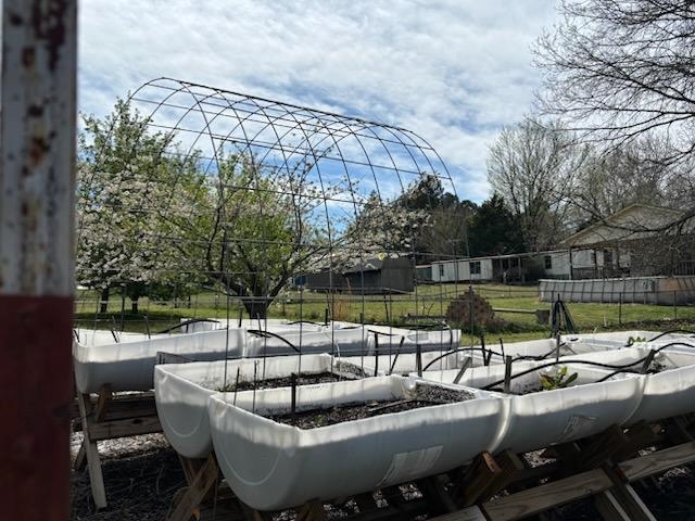 1648 Dry Hill Road West Ripley, TN 38063 - Photo 30 of 34