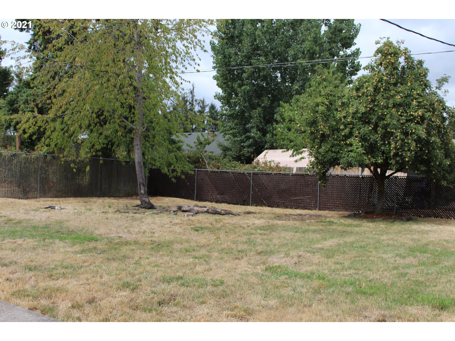 564 West M Street Springfield, OR 97477 - Photo 10 of 13