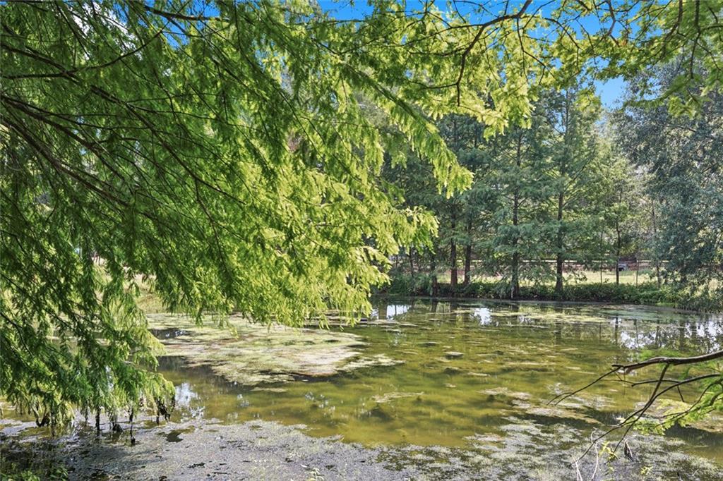 345 Village Farms Road Folsom, LA 70437 - Photo 42 of 44