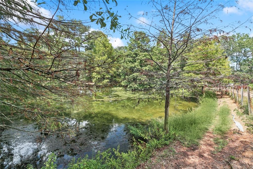 345 Village Farms Road Folsom, LA 70437 - Photo 43 of 44