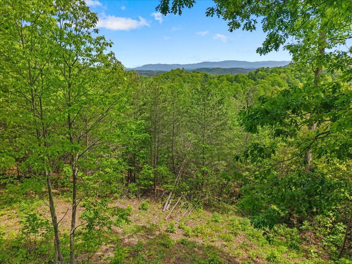 160 Riverside Drive Madisonville, TN 37354 - Photo 33 of 37 Gallery Image 33