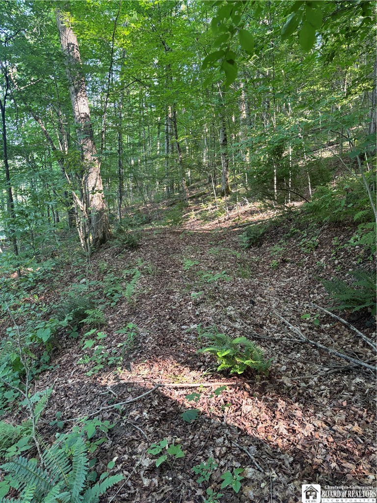 2045 Baxter Mills Road Ischua, NY 14743 - Photo 18 of 44 Gallery Image 18