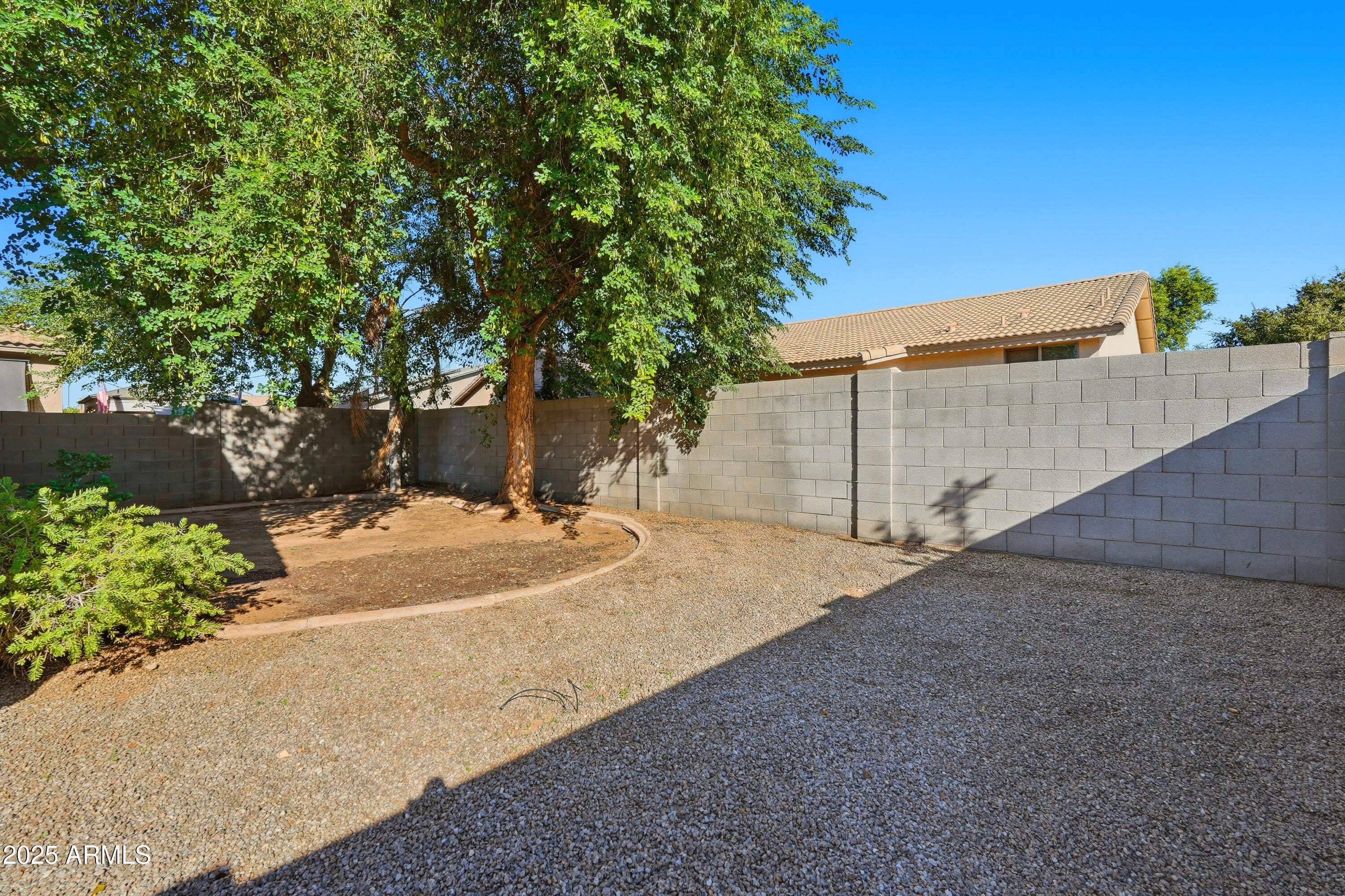 14568 West Crocus Drive Surprise, AZ 85379 - Photo 36 of 36 a backyard of a house with a tree