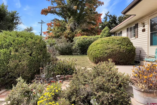 a view of a backyard with plants and large trees