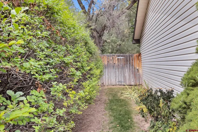 a view of a pathway of a yard