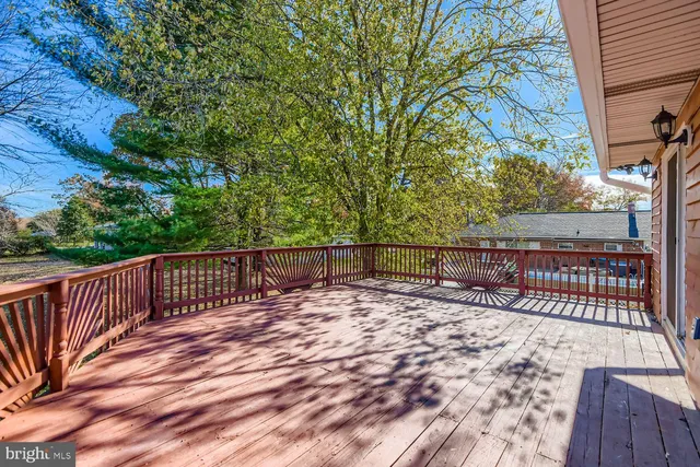a view of a yard with plants and trees