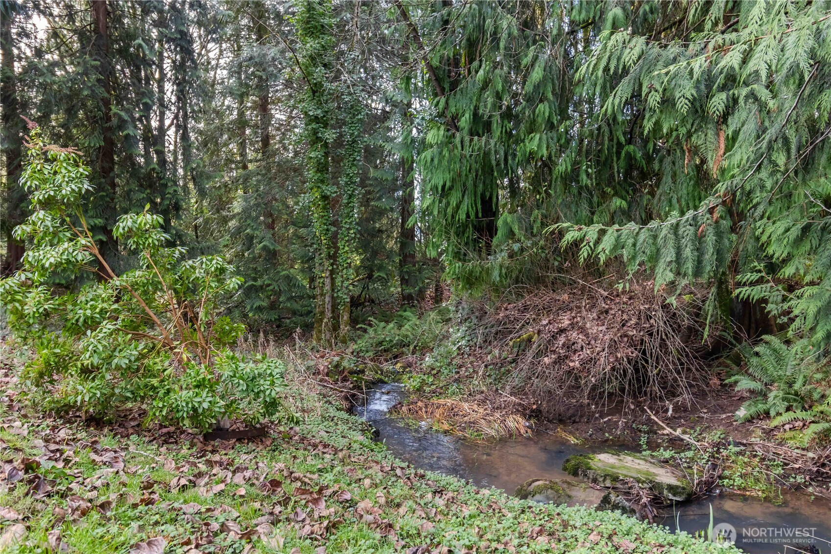 3101 Ammons Drive Longview, WA 98632 - Photo 31 of 36