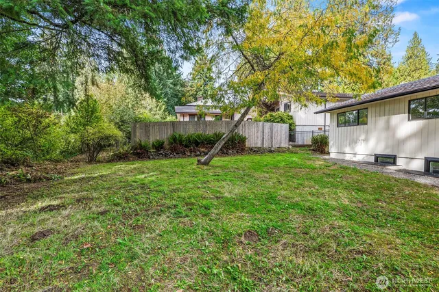 a backyard of a house with plants and large tree