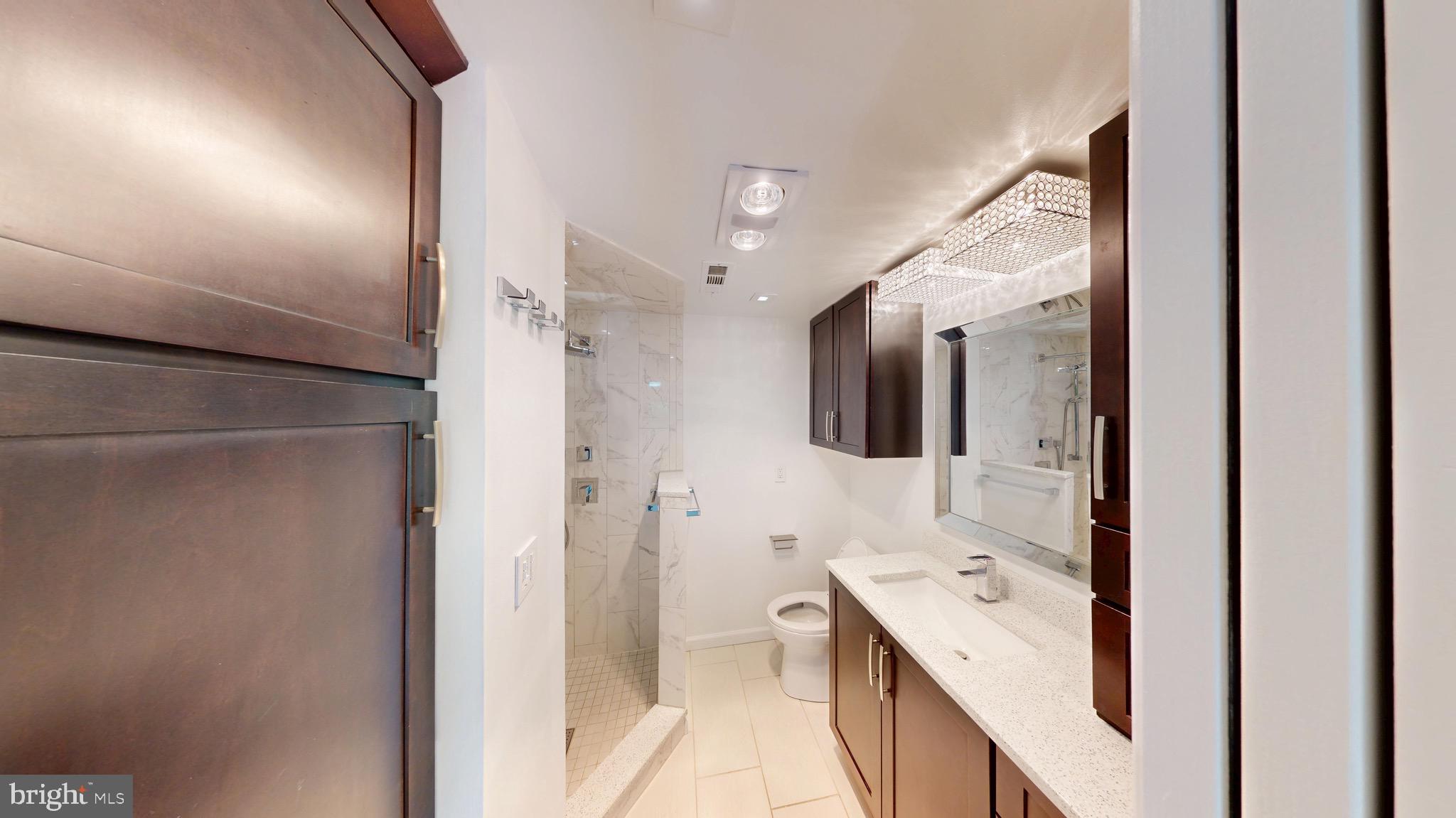 729 West Watersville Road Mount Airy, MD 21771 - Photo 19 of 42 Updated Master Bathroom