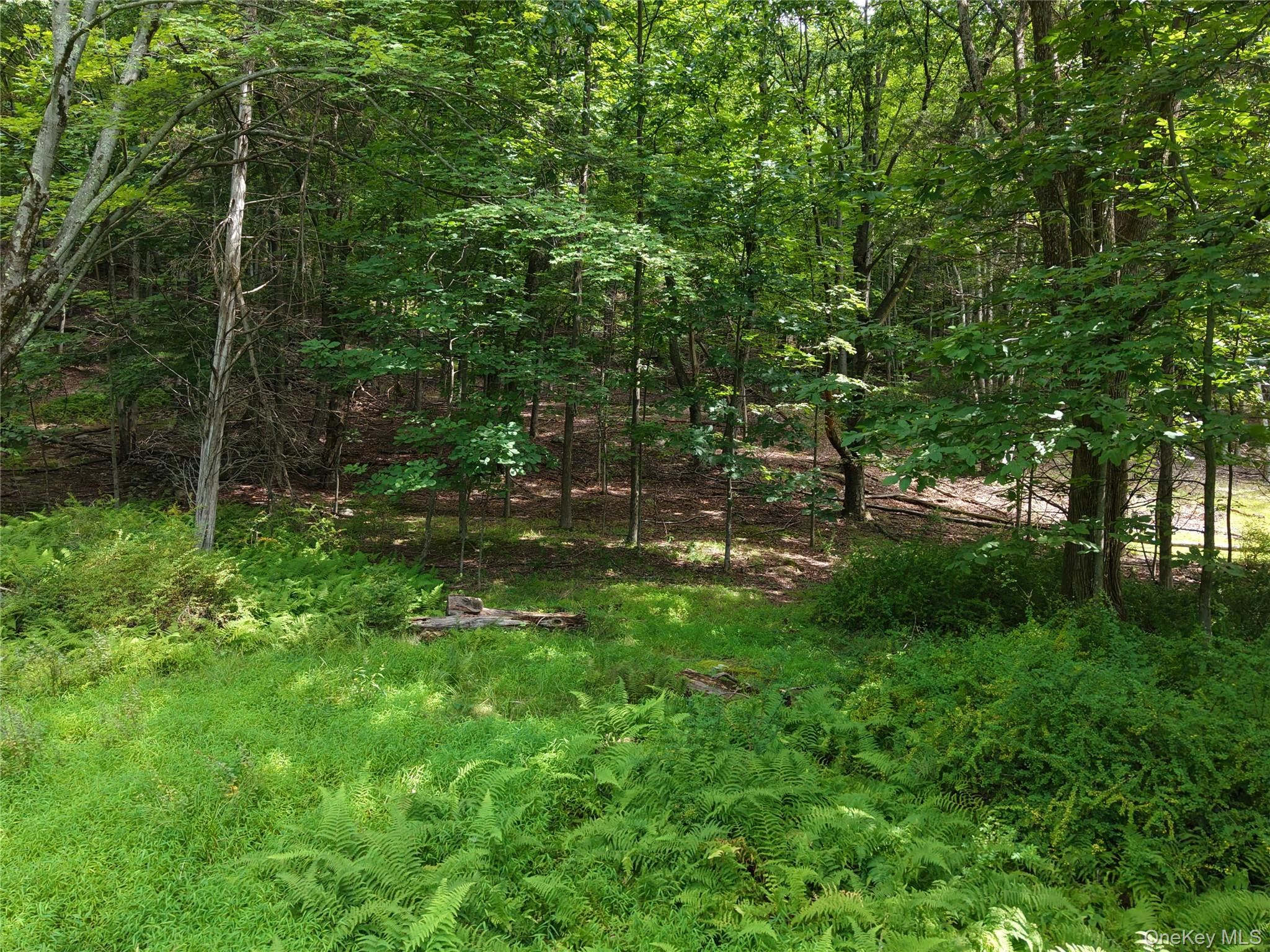 Twinshaven Road Neversink, NY 12765 - Photo 13 of 20 Gallery Image 13