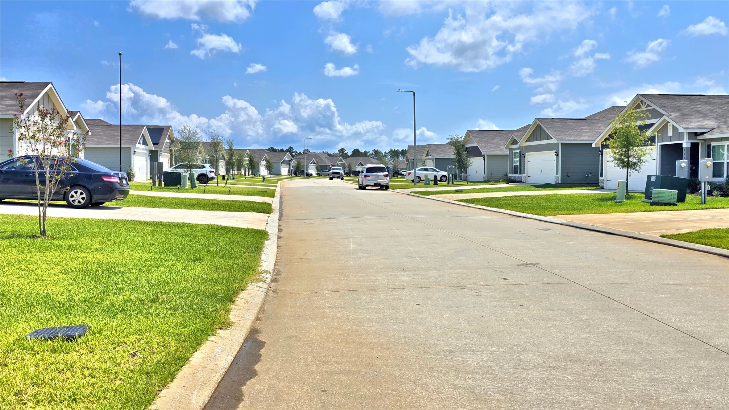 16351 Sweet Grv Drive Conroe, TX 77303 - Photo 17 of 19 a view of a street with houses