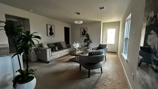 a living room with furniture and a potted plant