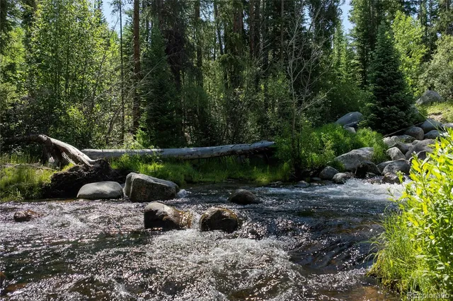 a view of a backyard with plants and swing