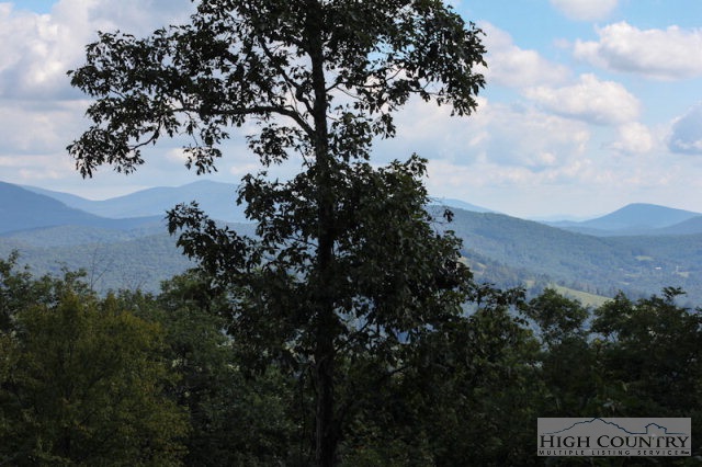 0 Ernest Brown Road Boone, NC 28607 - Photo 4 of 7