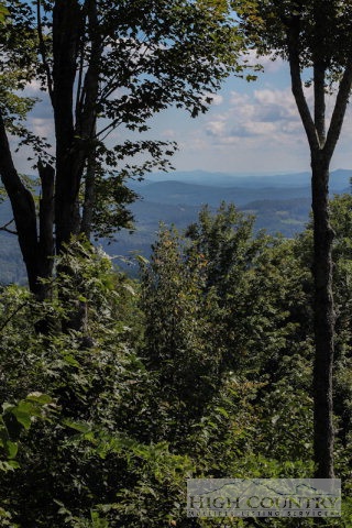 0 Ernest Brown Road Boone, NC 28607 - Photo 5 of 7