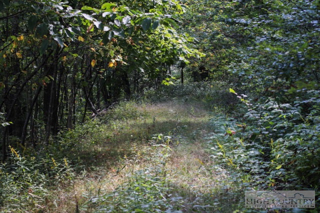 0 Ernest Brown Road Boone, NC 28607 - Photo 7 of 7