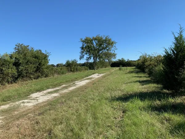 a view of a grassy field with trees