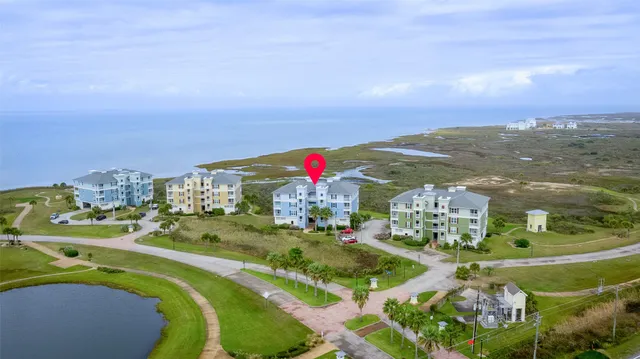 a view of a swimming pool with a lot of trees in the background