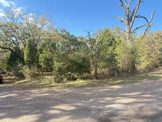 a view of a yard with large trees