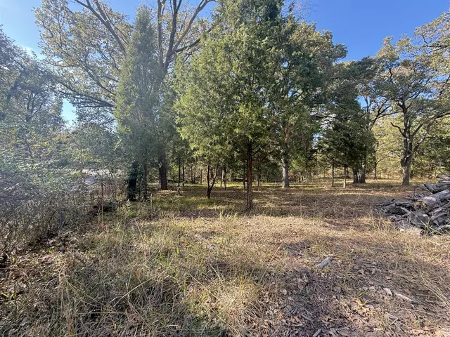 a view of outdoor space with trees